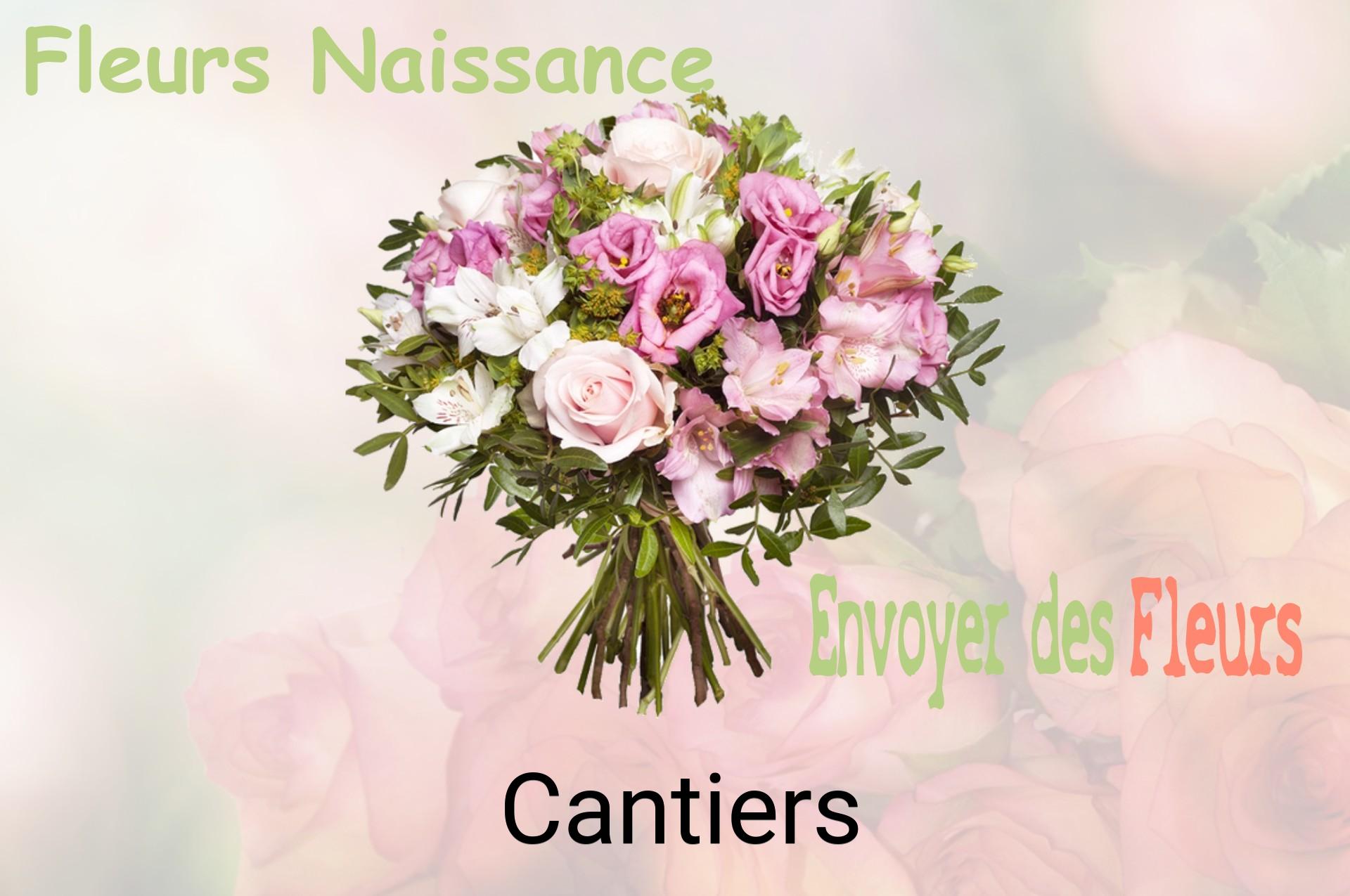 Bouquet de fleurs de naissance livré à Cantiers